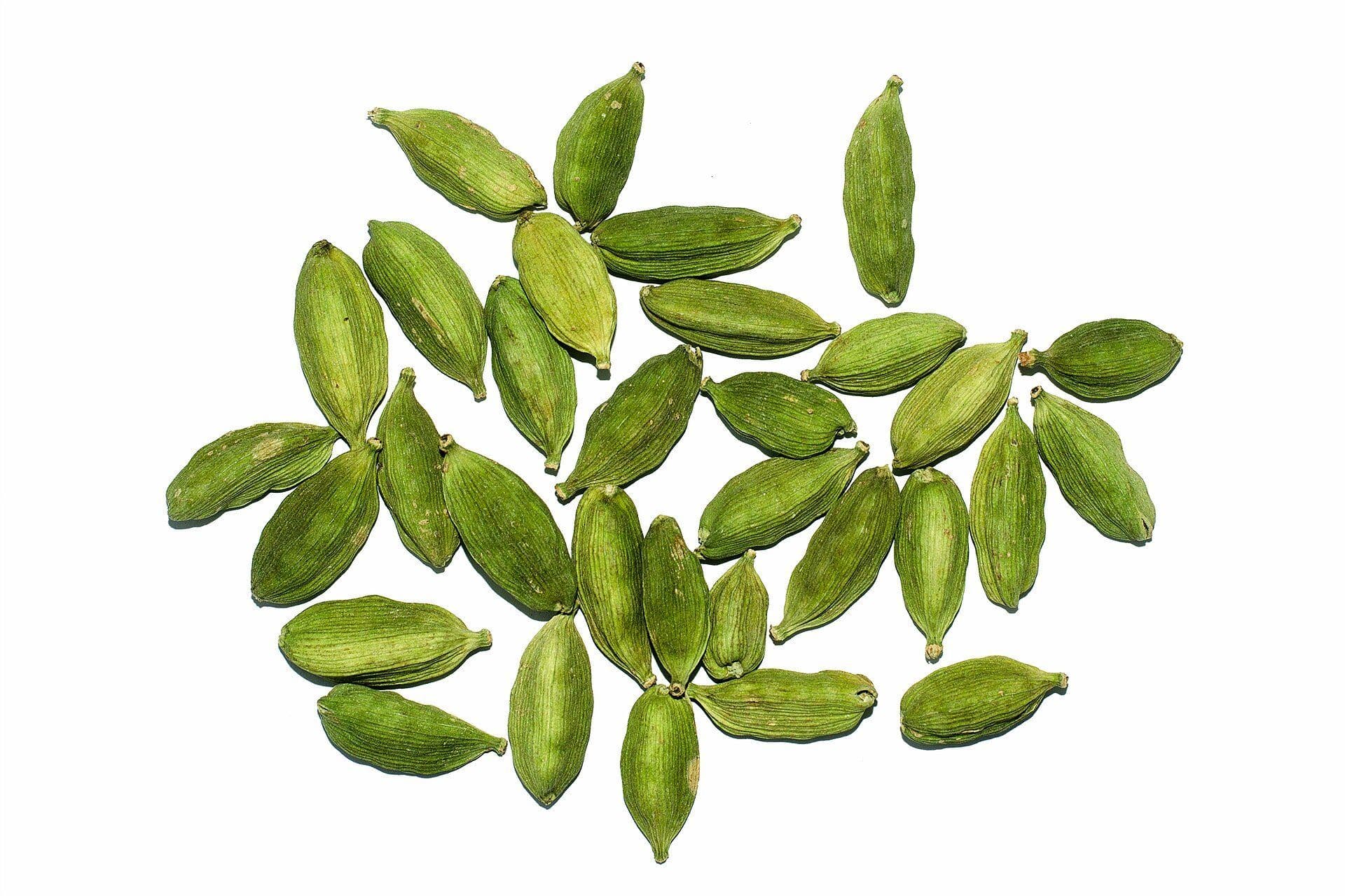 Whole green cardamom pods scattered on a white background