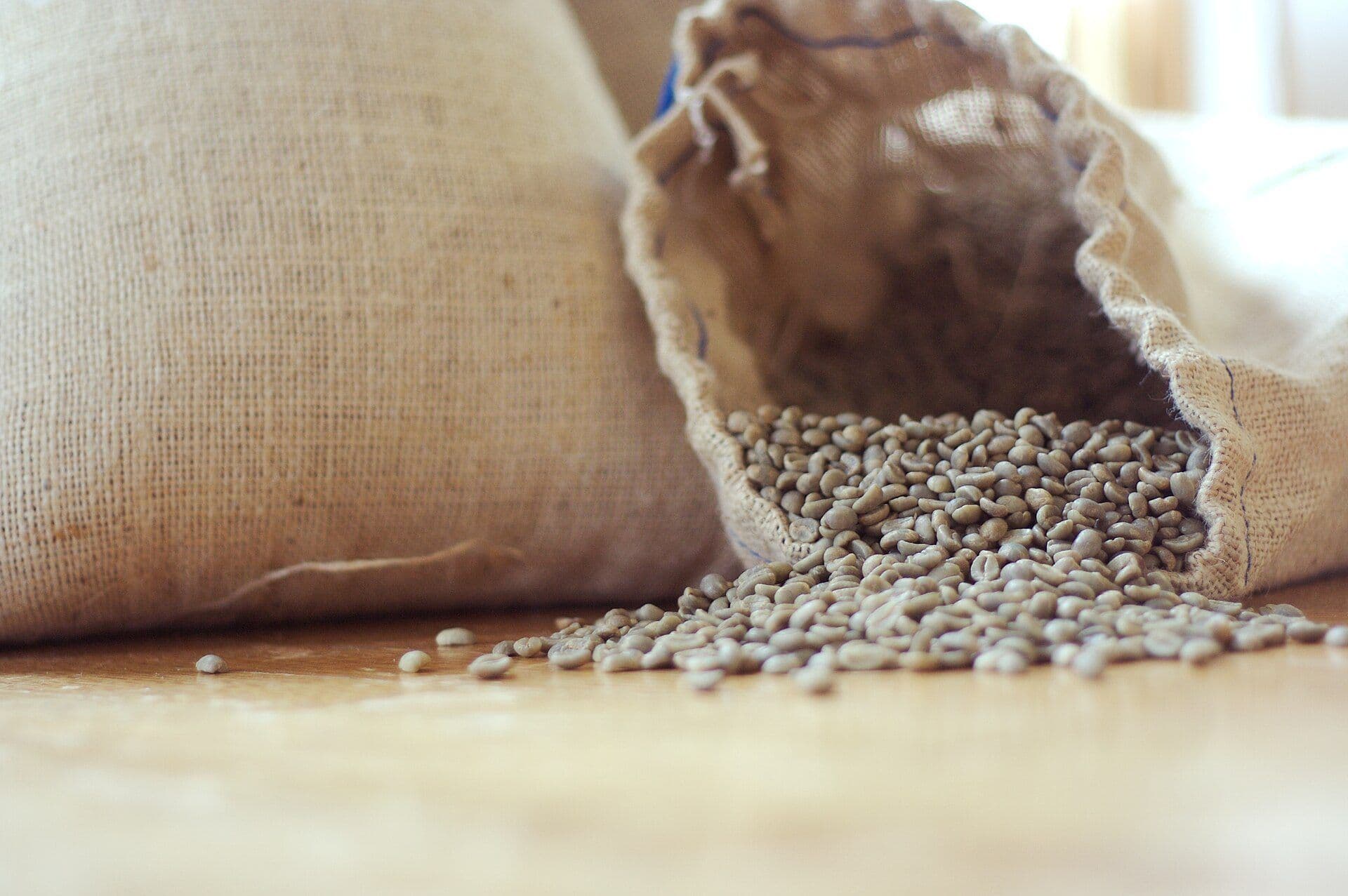 Green unroasted coffee beans spilling from an open jute sack