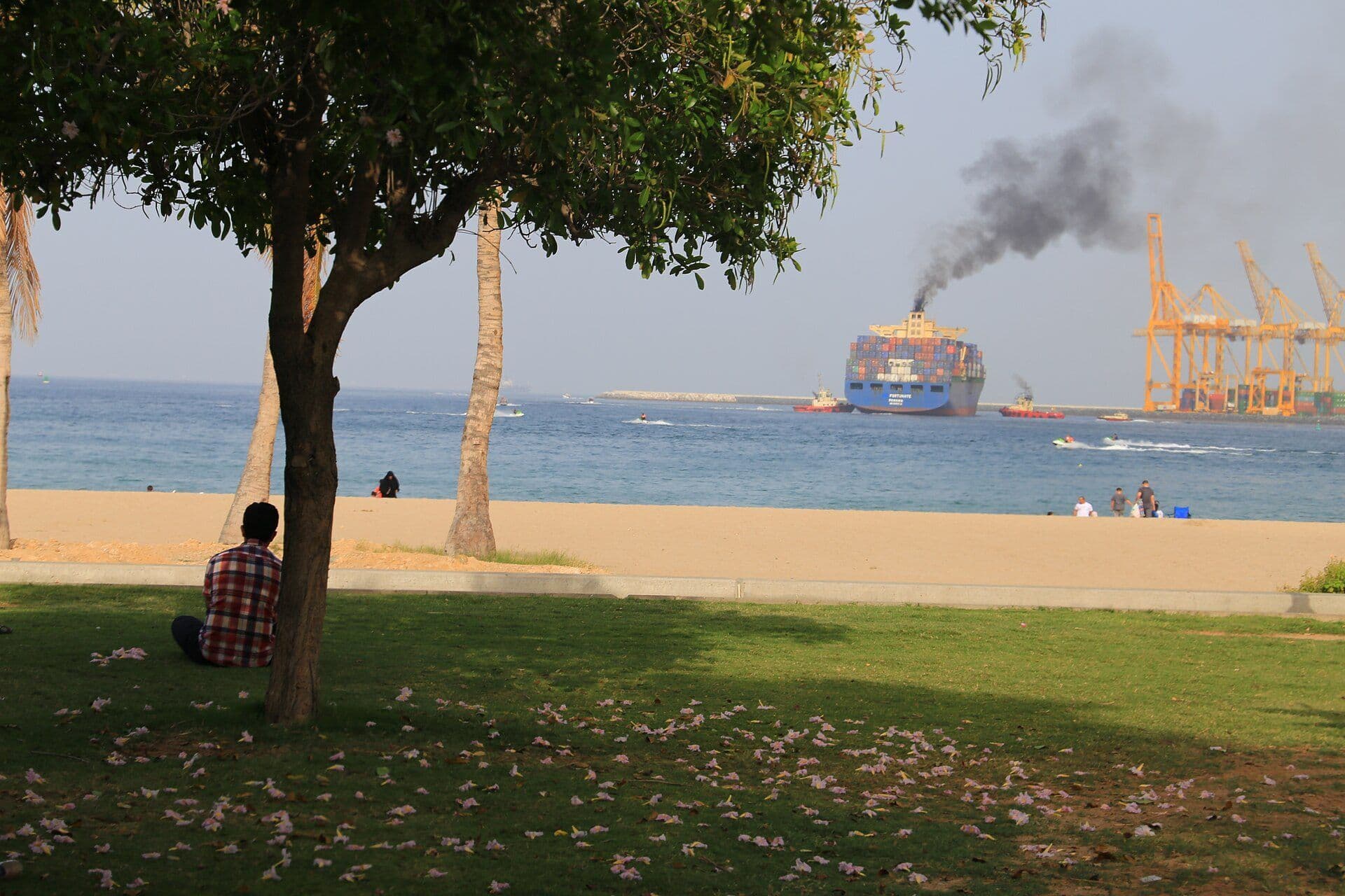 Container vessel berthing at Khorfakkan port beside the corniche