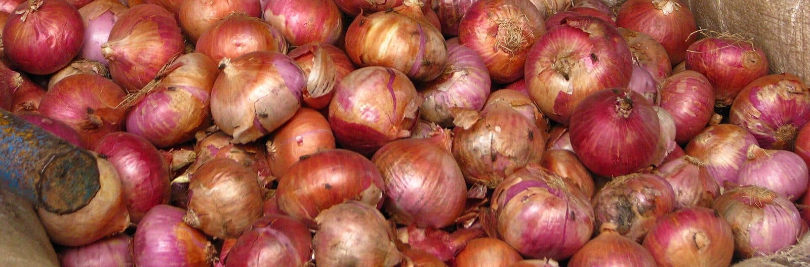 A heap of fresh red onions at Koyambedu wholesale market, Chennai