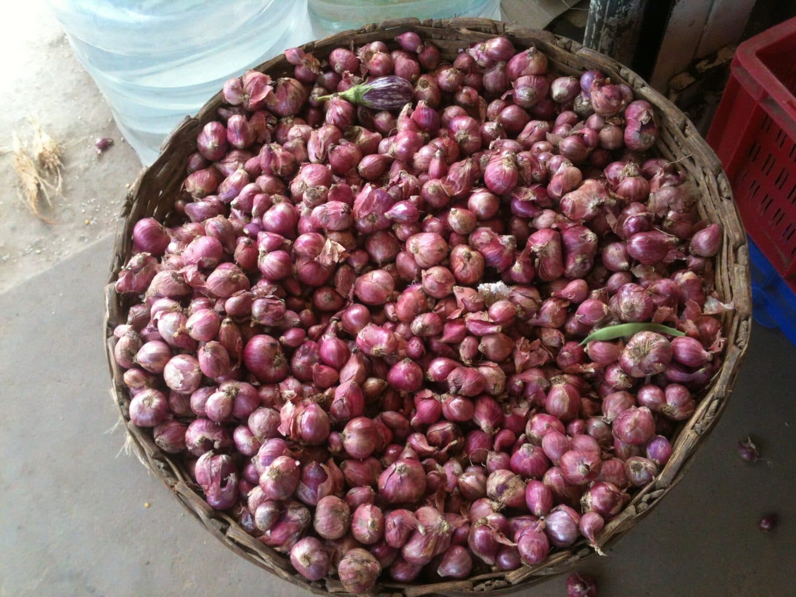 A round basket full of small red onions, also called shallots or sambar onions